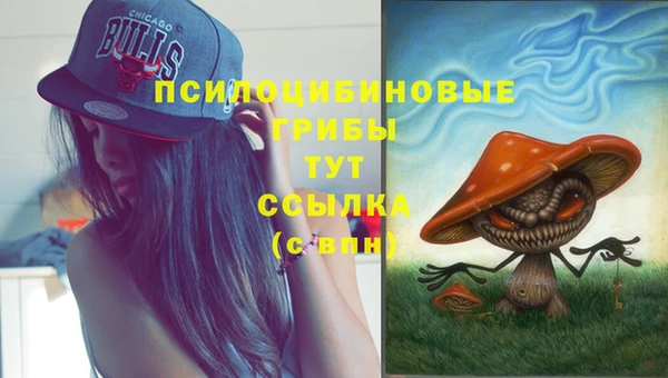 не бодяженный Богородицк